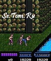 Elite Systems Double Dragon 2