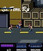 Elite Systems Double Dragon 2