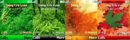 16   Sony Ericsson 176x220