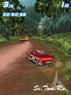 Rally Stars 3D ()