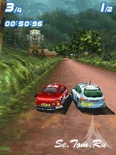 Rally Stars 3D ()