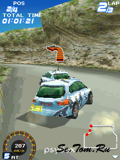 Rally Stars 3D ()