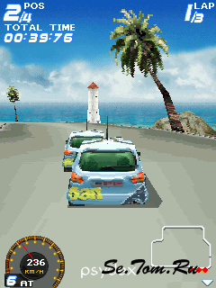 Rally Stars 3D ()