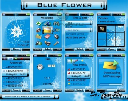 Blue-Flower 240320