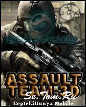 Assault Team 3D 