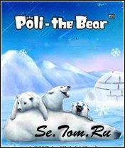 Polli - The Bear