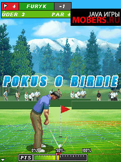 Pro Golf 2010 World Tour