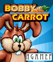   Bobby Carrot