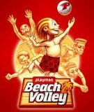Playman Beach Volley 3D |176x220/240x320|