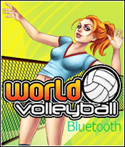 World Volleyball