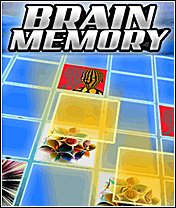 Brain Memory