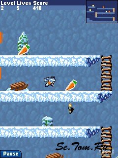 Carrot Mania on Ice