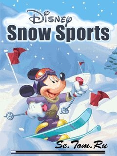 Disney Snow Sports