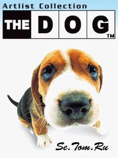 The Dog 3D