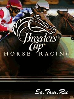 Breeders Cup Casino Horse Racing