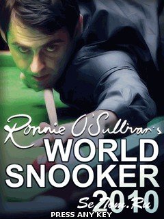 Ronnie OSullivans World Snooker 2010