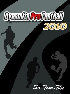 Dynamite Pro Football 2010